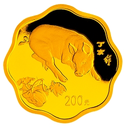 2007中国丁亥（猪）年金银纪念币1/2盎司梅花形金质纪念币背面图案