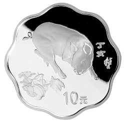 2007中国丁亥（猪）年金银纪念币1盎司梅花形银质纪念币背面图案