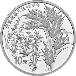 庆祝改革开放40周年金银纪念币30克圆形银质纪念币背面图案